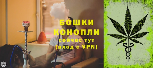 крисы Лагань