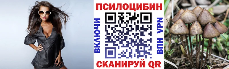 Купить где  Фурманов  Галлюциногенные грибы мухоморы 